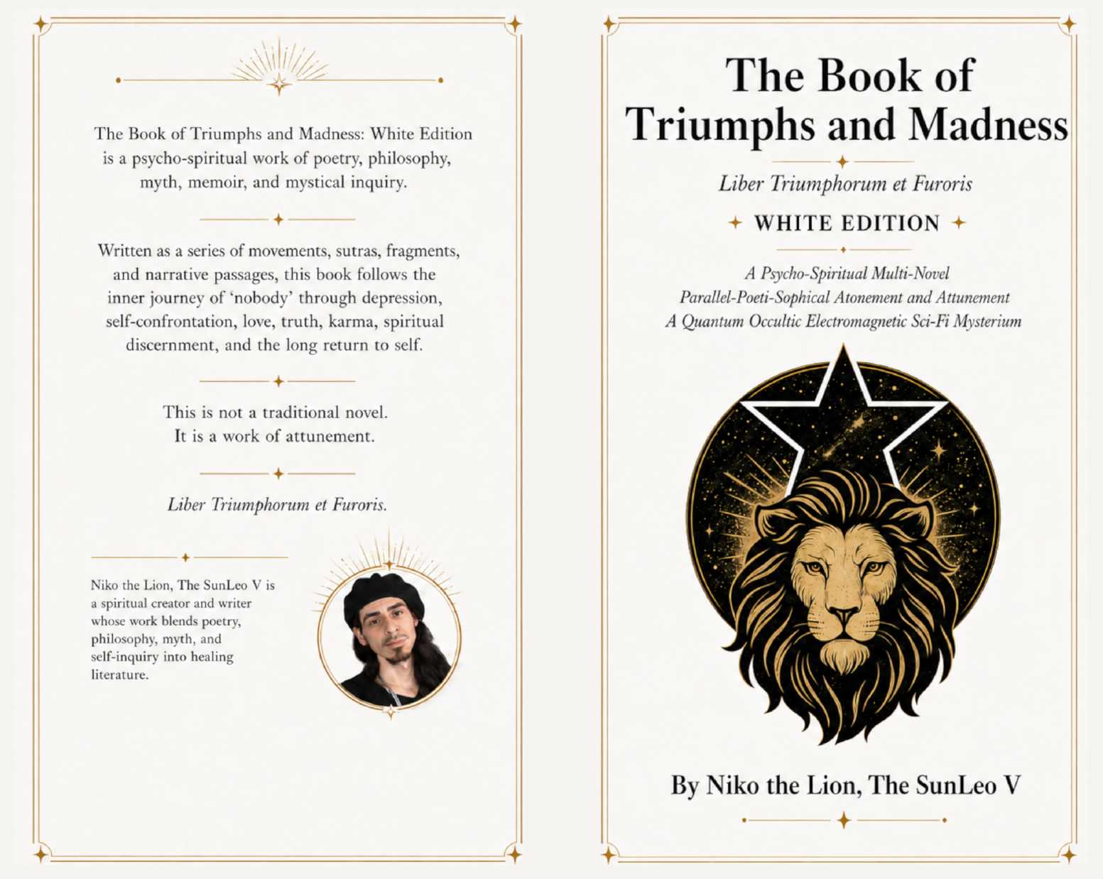 Full wrap cover for The Book of Triumphs and Madness